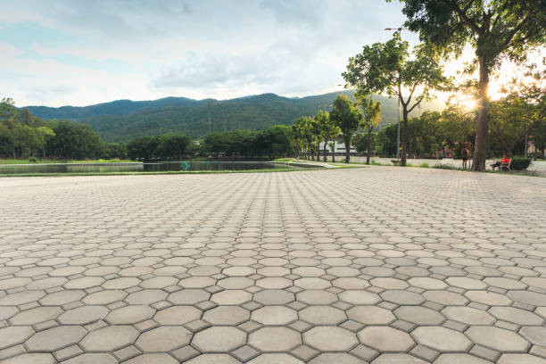 Best Residential Paver Driveway  in Belzoni, MS